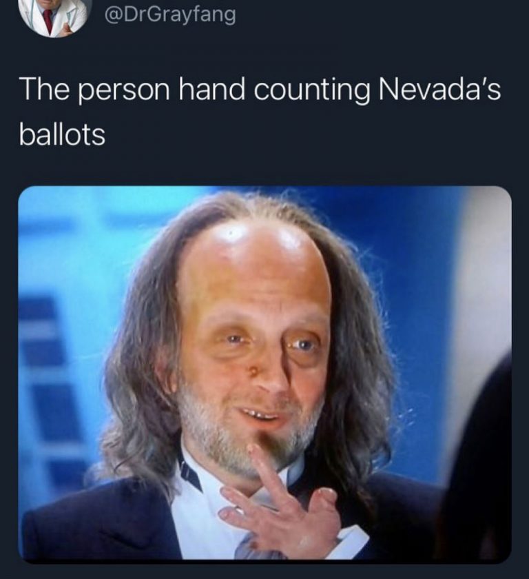 The Person Hand Counting Nevada's Ballots - 2020 Election Meme - Shut ...