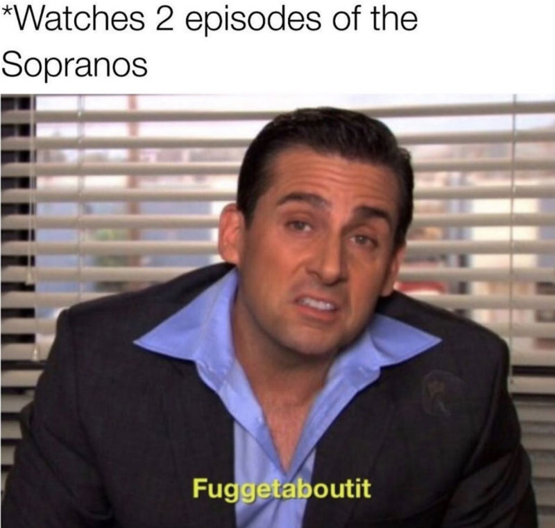 watches 2 episodes of the sopranos
