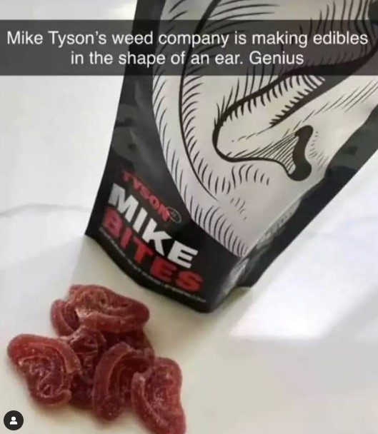 mike bites