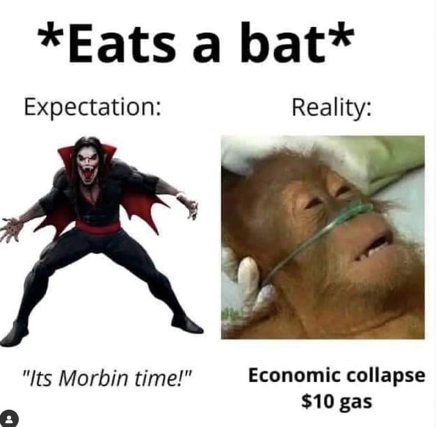 Eats A Bat Expectation Vs Reality Meme Shut Up And Take My Money