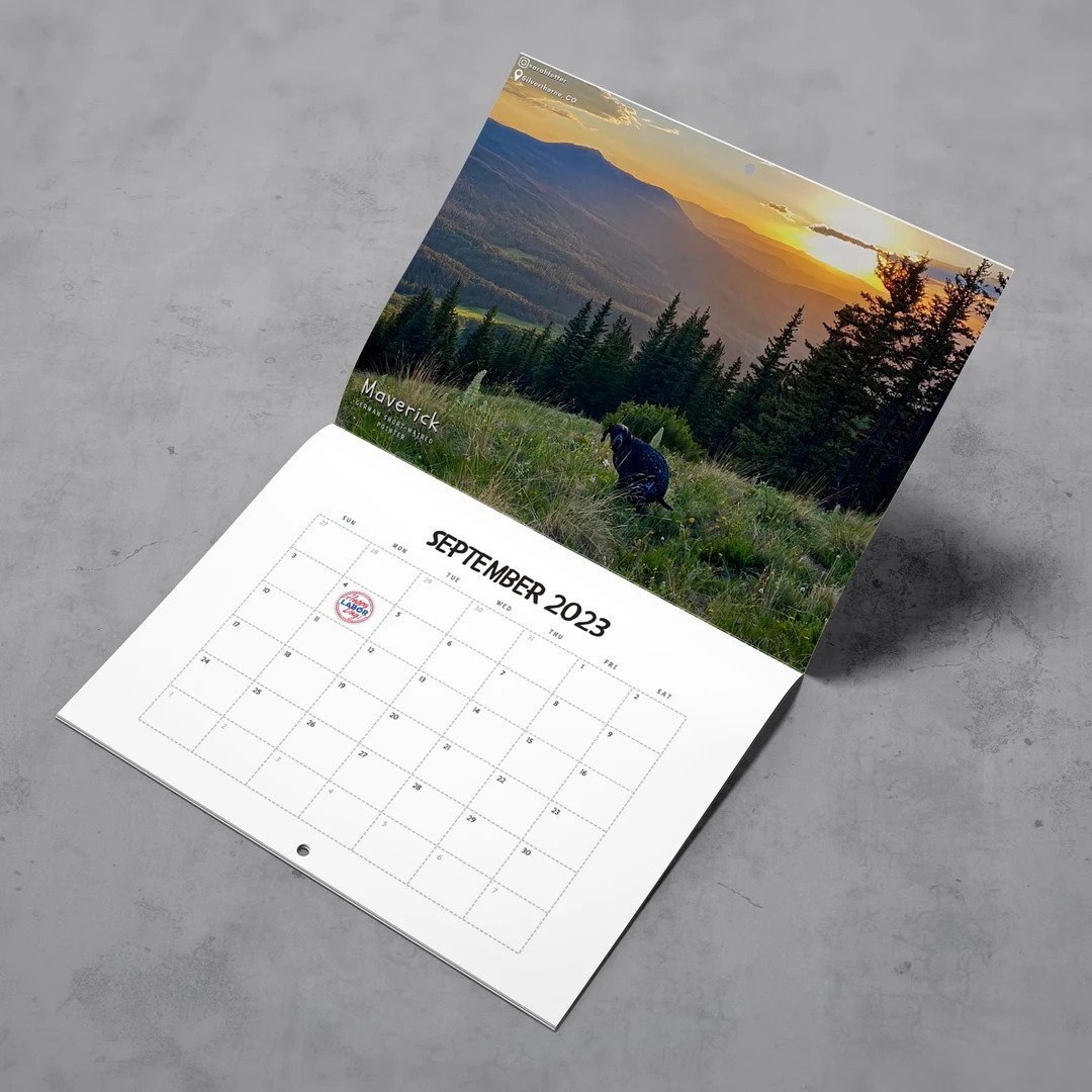 Dogs Pooping In Beautiful Places 2023 Calendar Shut Up And Take My Money