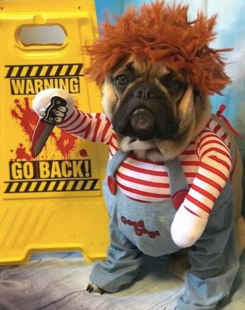 Dog in chucky outfit best sale