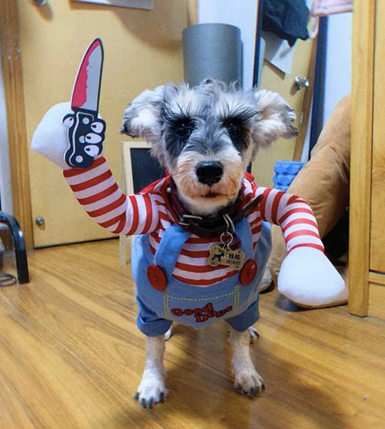 Dog in outlet chucky outfit