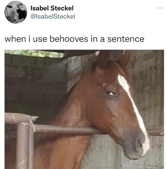 When I Use Behooves In A Sentence - Horse Meme - Shut Up And Take My Money