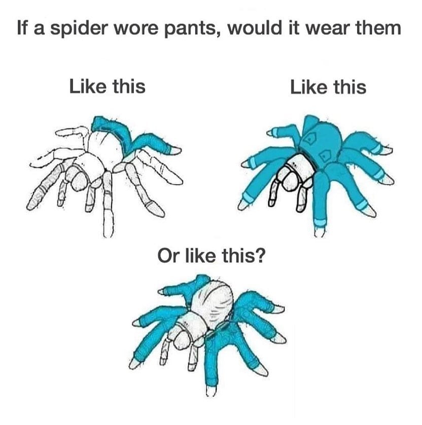 If A Spider Wore Pants Would It Wear Them Like This - Meme - Shut