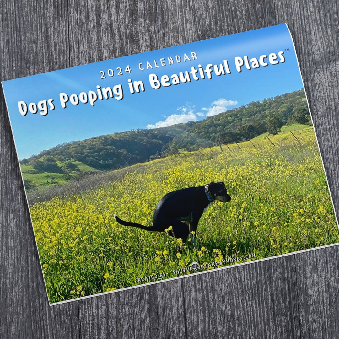 Dogs Pooping In Beautiful Places 2024 Calendar Shut Up And Take My Money