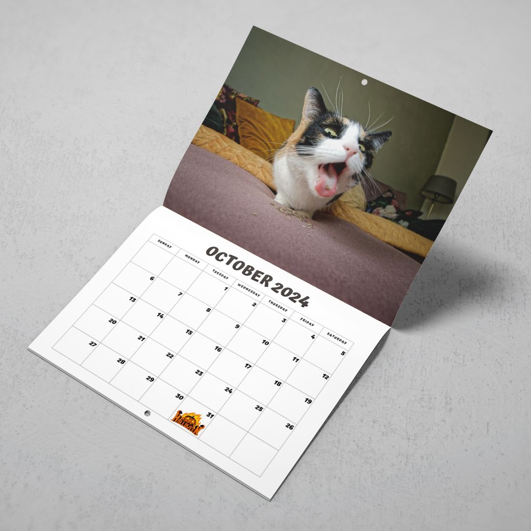 Cats High On Catnip 2024 Calendar Shut Up And Take My Money   3 