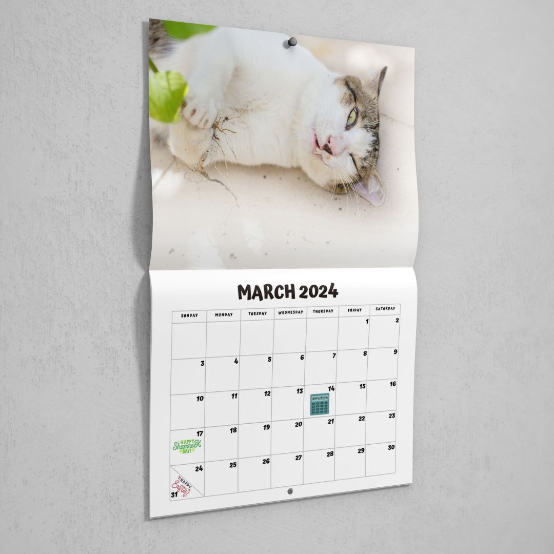Cats High On Catnip 2024 Calendar Shut Up And Take My Money