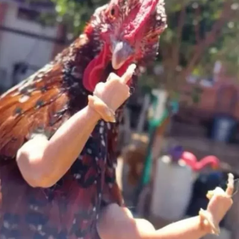 Middle Finger Chicken Arms - Shut Up And Take My Money
