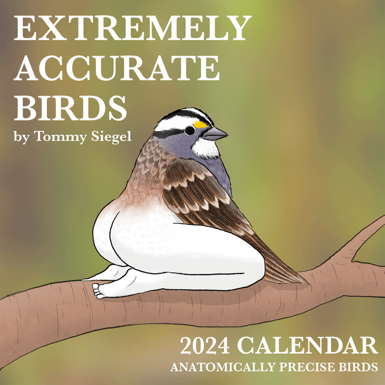 2024 Calendar of Extremely Accurate Birds Shut Up And Take My Money